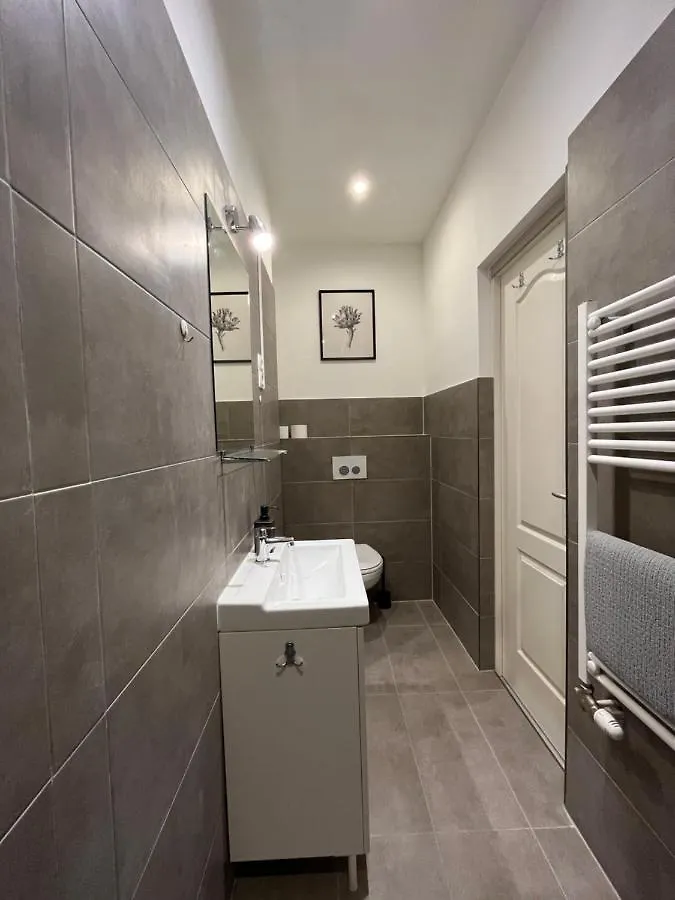 D58 Apartments In The City Center 布达佩斯 0*,