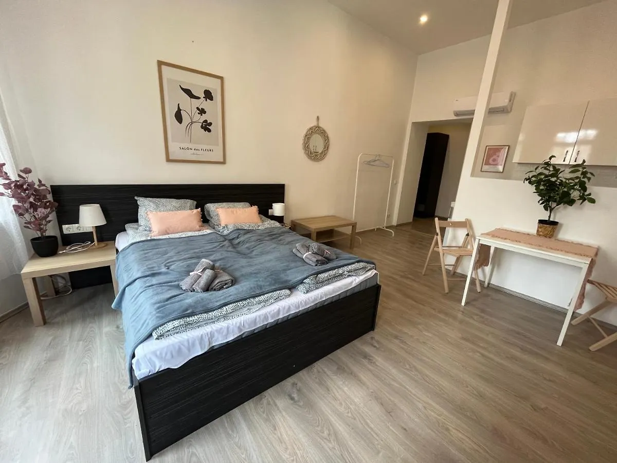 D58 Apartments In The City Center 布达佩斯